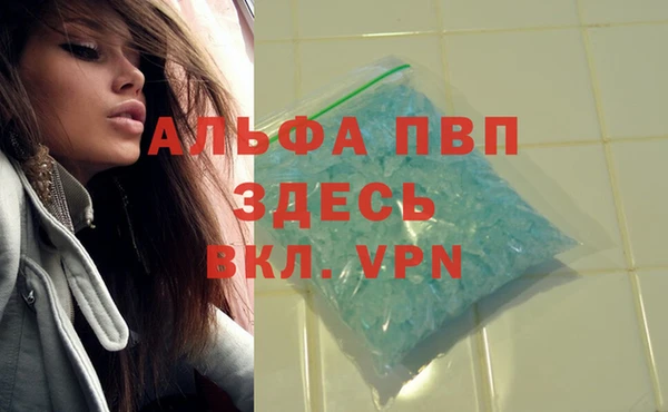 ГАЛЛЮЦИНОГЕННЫЕ ГРИБЫ Магас