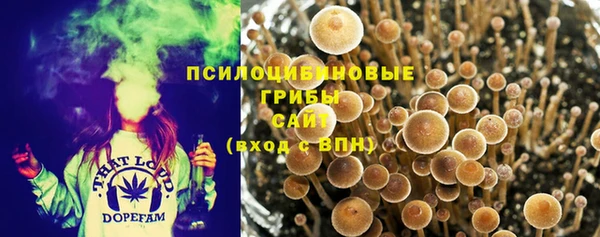 спайс Медногорск