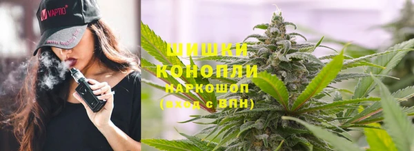 МДПВ Мегион