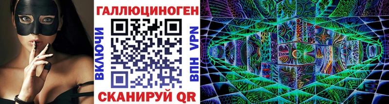 Купить  Кедровый  Псилоцибиновые грибы Cubensis 