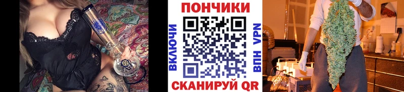 Купить закладки  Кедровый  Бошки Шишки Ganja 